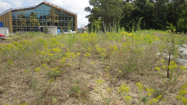 001_Naturschutzfachliche_Begleitplanung